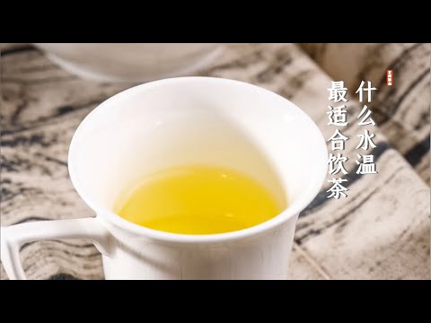 找茶 / 什麼水溫最適合飲茶