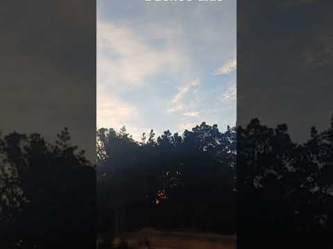 amanecer el tabo