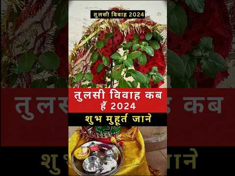 Tulsi Vivah 2024 | Kab hai Tulsi Vivah | Tulsi Vivah Shubh Muhurt | तुलसी विवाह 2024