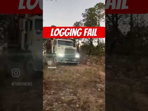 Logging Fail #logging #fail #trucking #shorts #viral