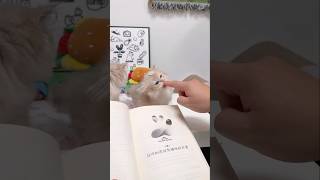 He Found a Tiny Cat… And It Became His Magic Assistant!