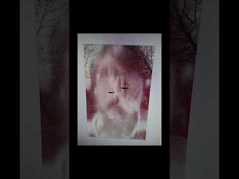 「フェイクドキュメンタリーQ」2024年7月25日発売