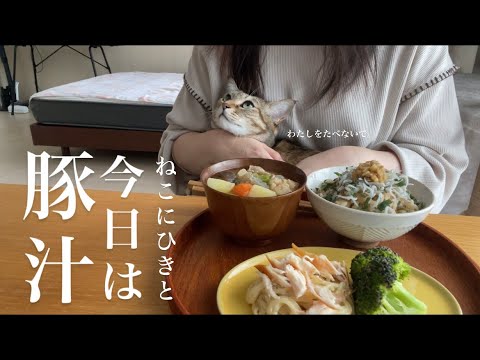 ねこにひきと豚汁をつくる休日
