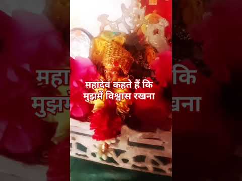 महादेव कहते हैं कि मुझमें विश्वास रखना#shortvideo #pradeepmishrajidhankeupay #trendingshorts