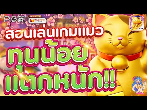 สล็อตpg สล็อตpgเว็บตรง เว็บสล็อตpg l แตกง่ายขนาดนี้เลยหรอ เจ้าแมว