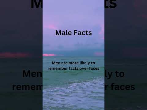 Male Facts