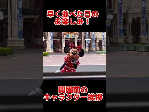 開園前にさらにテンションが上がります！早く並ぶ楽しみのひとつ😊はっしゅ #ディズニー #ディズニーランド #tdl