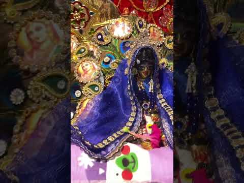 Kartik mass day 2 #hareramaharekrishnakirtandhun #radheradhe #radheshyam #kartikmass