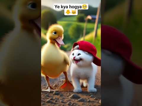 ye kya hogya🥲🐥🐱 Duck cat friendship #dosti #trending #shorts #friends #viral