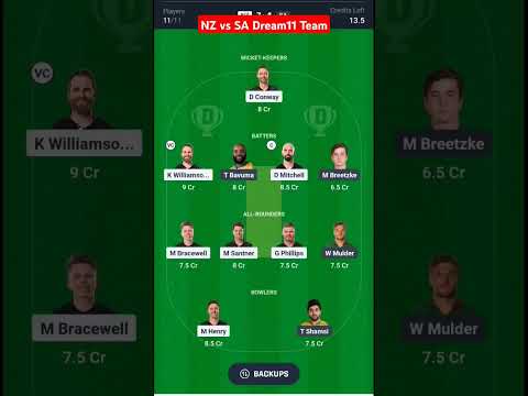 NZ vs SA Dream11 Prediction || 2nd ODI || Fantasy Tips #cricket #dreamcricket #fantasycricket