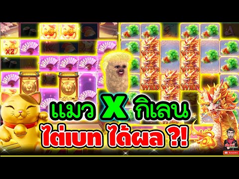 แมวxกิเลน ซื้อสปินชุดใหญ่ !!!│Lucky Neko ➤ Slot PG