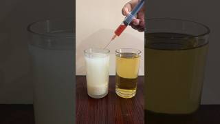 Simple Iodine solution vs starch water Experiment || Easy science experiment || #youtubeshorts 😱😱