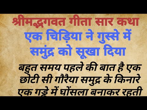 श्रीमद्भगवत गीता सार कथा || एक चिड़िया ने गुस्से में समुंद्र को सूखा दिया || motivational story