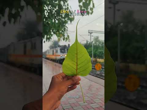 Mere Saher k log 🥹❤️ #raiganj #raiganjcity #vlogs #minivlog #ytshorts #ytreels #trending #viralreels