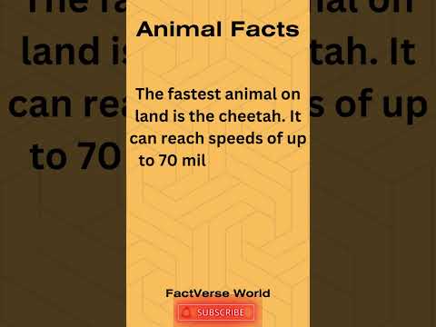 Animal Facts