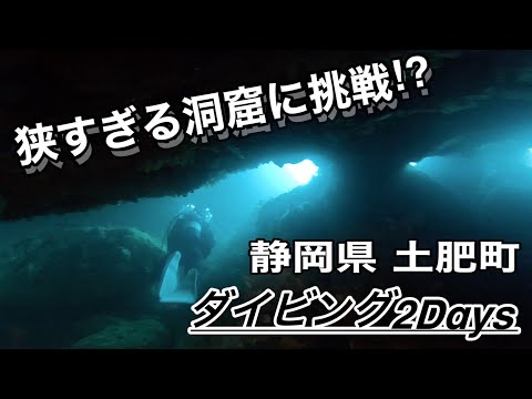Gopro hero11 black水中撮影【大瀬崎•土肥】#ダイビング #ダイビングライセンス #ダイビングログ #洞窟 #洞窟探検