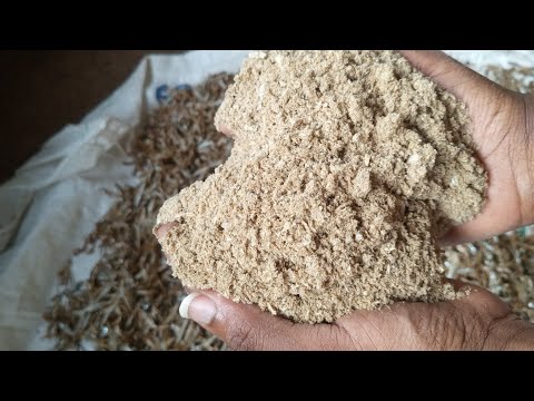 How to make fish meal for poultry at home