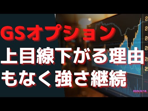 GSのオプションは上目線　下がる理由もなく強さ継続