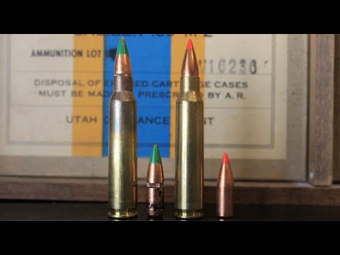 .223 vs 5.56 NATO: What You Know May Be Wrong