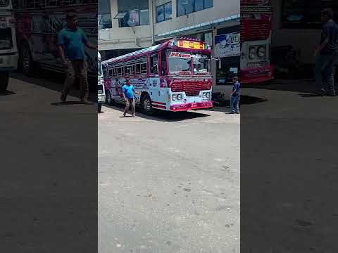 bus vidro