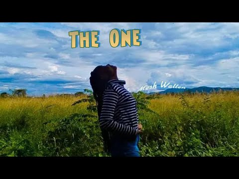 Mesh Wallen - The One (Official Lyric Video)