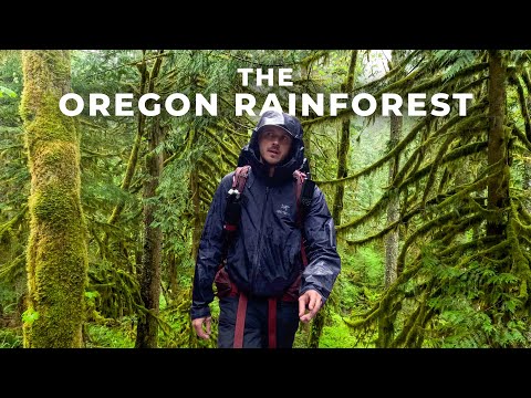 Solo Backpacking Mount Hood National Forest | Salmon River Trail, Oregon