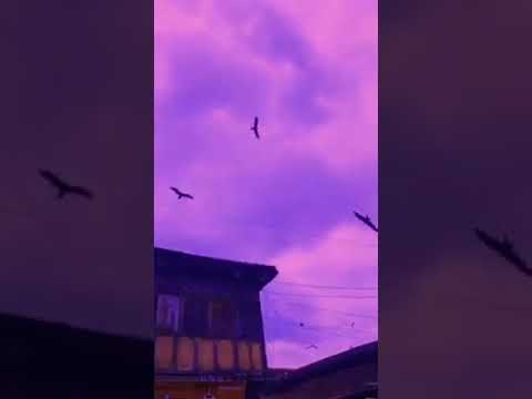 Our beautiful nature 🌸 #subscribetomychannel #myown