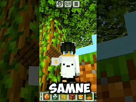 can minecraft fox wear beard 🤣🤣||#minecraft #shorts