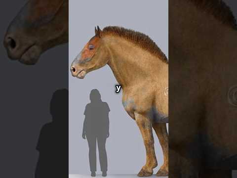 ¿QUIÉN GANARÍA? ¡80 Caballos vs Equus Giganteus! #batallaépica #animales #dinosaurios