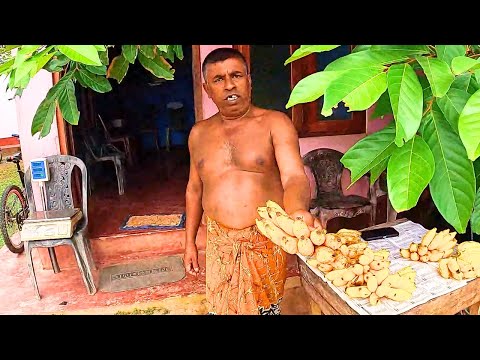 Mechanic Needed! When Your Tuk Tuk Breaks Down in Sri Lanka