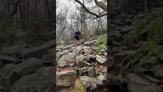 Mount Tammany Shorts - Rock Scramble