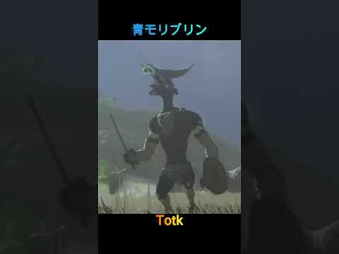 ゼルダの伝説　ブレワイとティアキン　魔物を徹底比較！！