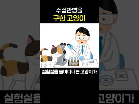 수십만명을 구한 고양이 실화