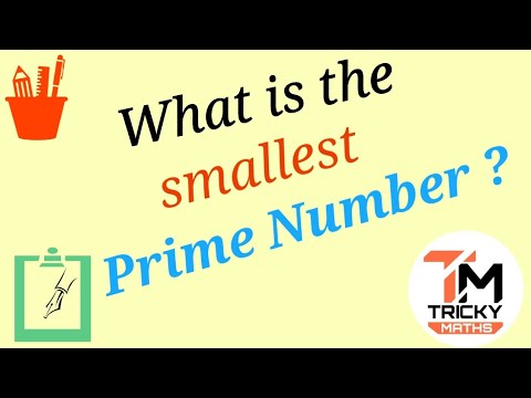 What is the smallest Prime Number? || Tricky Maths