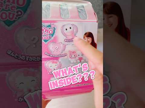 I bought it🥹🥹 Hello Kitty? Melody? Cinnamoroll? Sanrio Plushie 💕 in Japan Sanrio Who are You