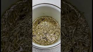 Rosemary + cloves oil for major hair growth #hairgrowthtips #naturalhair #curlyhair #rosemaryoil