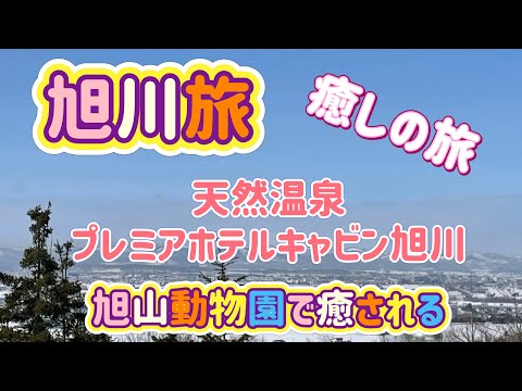 [北海道旅行]旭川の旅　駅前温泉と旭山動物園！癒しの旅