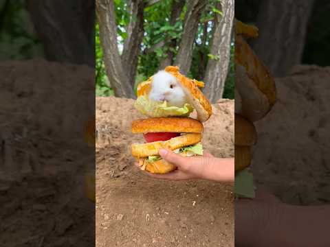 Bunny Burger! Baby Rabbit & Chicks in Cuteness Overload! #trending #shorts #rabbit #cute