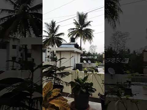 Baarish #shorts #baarish #rain