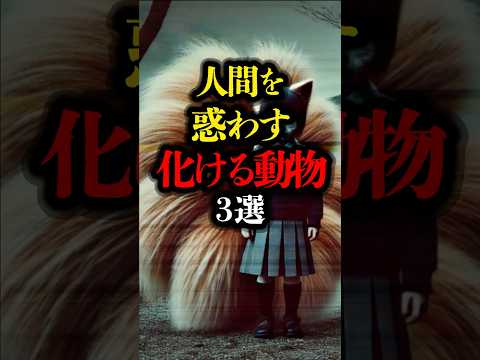 人間を惑わす化ける動物 3選 #都市伝説 #ミステリー #歴史 #超常現象 #怪異 #狐 #猫 #動物 #youtubeショート #youtubeshorts