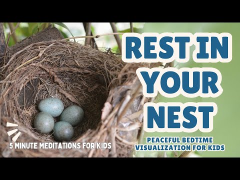 Peaceful Bedtime Visualization for Kids: Rest in Your Nest