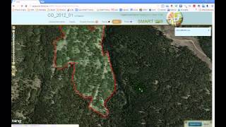 FSP SMART e04 -- SMART Web
