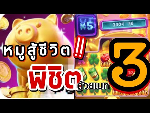หมูสู้ชีวิต ต้องพิชิตด้วยเบท 3!! : Lucky piggy : หมูpg