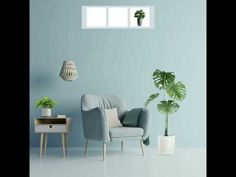 Choose indoor plants that match your lighting and design