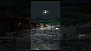 #viralvideo #newblogpost #subscribe #onlinemedia #nature #myfirstblogpost #socialmedia