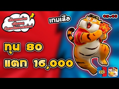 สล็อตแตกง่าย สล็อตpg เว็บตรงไม่ผ่านเอเย่นต์ เกมเสือ ทุน 80 แตก 16,000