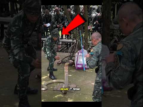 Thai Army’s Insane Snake Training – Catching a Cobra!