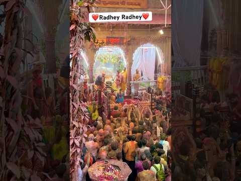 श्री राधावल्लभ लाल जी की अद्भुत और सुंदर होरी के दर्शन #trending #holifestival #bankebihari #shorts