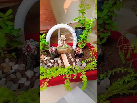 Home Entrance Decoration 🔥🔥 Tray Garden 🏡