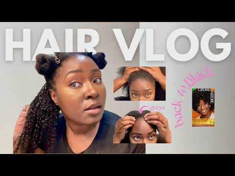 DYING MY TYPE 4 HAIR JET BLACK | HAIR VLOG | Tanelle Irene
